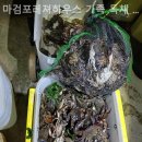 마검포레져하우스가족독채수영장 이미지