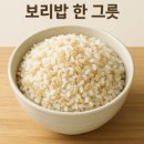 가치농업교육센터(스테이느릇) | 🌾농관원 인사말보다 기억에 남는 건 보리쌀!/윤쌤과수원/제주애플망고 성장일기/제주 만감류