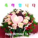 보리화 Daum카페