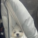 가얏골감자탕 부산금곡점 이미지