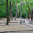 치인 야영장 이미지