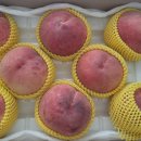 여주-0729 이미지