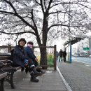 불광천5 이미지