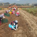 생물자원연구소 이미지