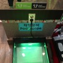 스마트바디스쿨 이미지