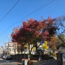 양지주택경로당 이미지