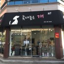 콧대높은 개 이미지