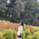가을 만끽하기, 10월 3일 개천절 수원탑동시민농장 🍁🍂🤎 (ft. 카페 풀룩)