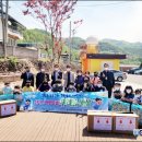 일월초등학교(청기분교) 이미지