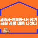 세종시-행복청-LH, 상가 공실 공동 대응 나선다 이미지