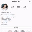 미니썸(minisome)