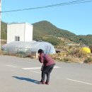서성경로당 이미지