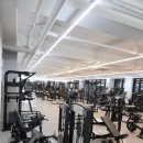 머슬서포트짐 삼봉점 | [짐레코] 머슬서포트짐 삼봉점 납품 완료!