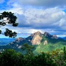 선물같은 하루 이미지