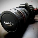 [정품]Canon 5D Mark2, 70-200mm 아빠백통신형, 24-70mm등등 이미지