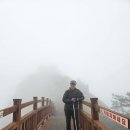 전남 신안 비금도 그림산 (226m) , 투구봉 (210m) 산행 #3 이미지