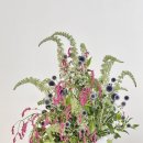 헬레나아틀리에청담
