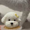 댕콤달콤 이미지