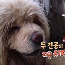 환웅농장 이미지