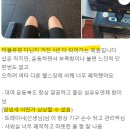 더블유핏 이미지