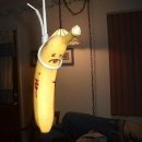 미견에만 목매다 이미지