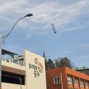 우체국길 | 공주에서 봄맞이 김피탕 즐기기 - 벚꽃 구경을 곁들인 🌸