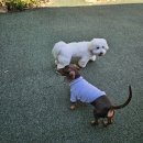 블루유치원 이미지