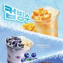 6;9다방