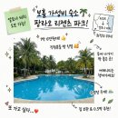 비치파크 - 고성군 토성로 38 | 팡라오 리젠츠 파크 리조트 알로나비치 가성비 숙소 솔직 후기
