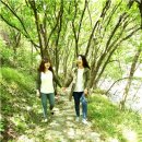 단양생태체육공원 1 이미지