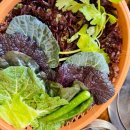 화진숯불구이 이미지
