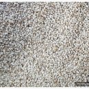 토종농산 이미지