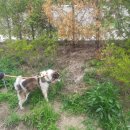 메이의산책 이미지