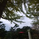 장자마을 이미지