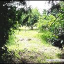 조수보건진료소 이미지