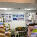 월드크리닝송파