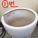 대형 도자기 화분 [4개] 일괄 판매 합니다 이미지