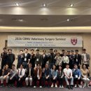 케이메디컬그룹