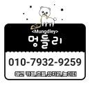멍들리 네이버블로그