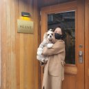 보듬 반려견미용실 | 민락2지구 인디고차일드 애슐리 쌤의 반려견 이야기