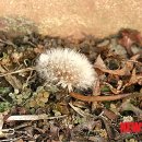 남차2리 이미지