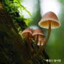 은혜유통