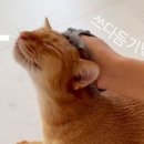 더콤마 네이버블로그