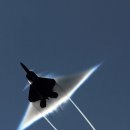 F22 Raptor 의 가격. 이미지