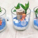 평내초등학교(병설) 이미지