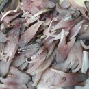 섬바우횟집 이미지