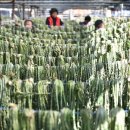 오산농원영농조합법인 이미지