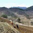 마음의 자유천지/ 방 운아(산천&amp;충쇠 듀엣곡) 이미지