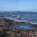 다우목장 이미지