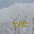 봉명청솔아파트(3차) 이미지